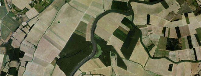 Bec du Loir