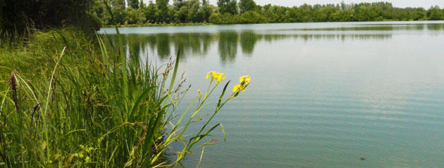 Plan d'eau de Villiers