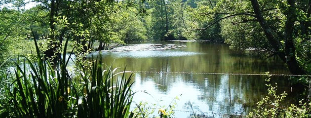 Fédération de pêche de la Manche, Val de Vire