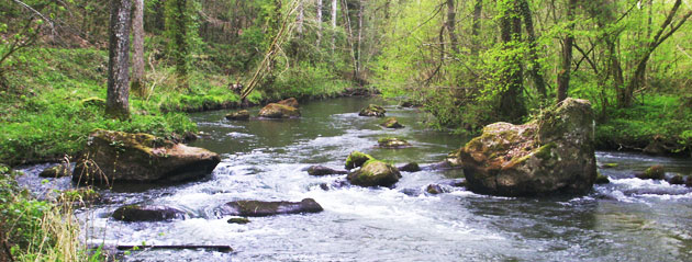 Fédération de pêche de la Mayenne : le Colmont Fédération de pêche de la Mayenne : le Colmont