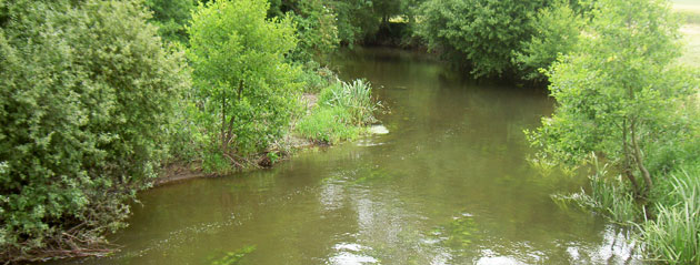 Fédération de pêche de la Mayenne : l'Oudon Fédération de pêche de la Mayenne : l'Oudon