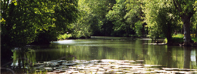 Fédération de pêche de la Sarthe : Vègre