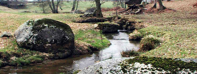 etang peche truite 35