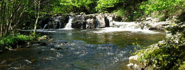 peche truite nievre