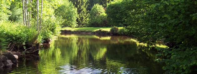 Fédération de pêche de Haute-Saône : Le Breuchin Fédération de pêche de Haute-Saône : Le Breuchin