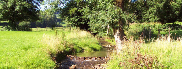 Fédération de pêche de Saône-et-Loire : le Grosne