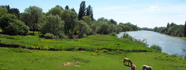 Fédération de pêche de Saône-et-Loire : la Loire