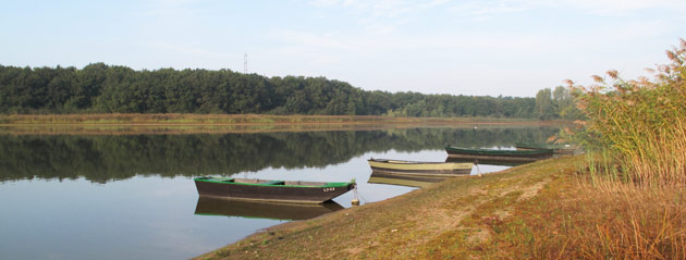 Fédération de pêche de Saône-et-Loire : Étang de Longpendu