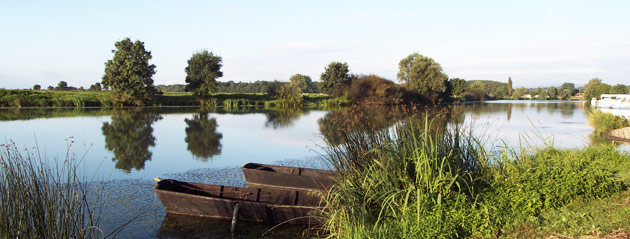 Fédération de pêche de Saône-et-Loire : la Seille