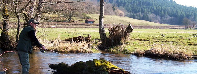 Fédération de pêche de Saône-et-Loire : Le Ternin