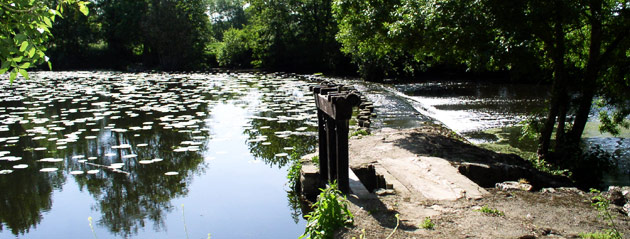 Fédération de pêche de Vendée : La Sèvre Nantaise Fédération de pêche de Vendée : La Sèvre Nantaise