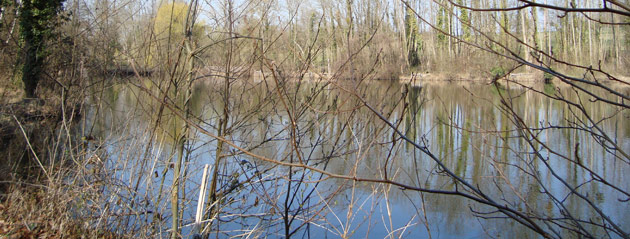 Fédération de pêche de l'Essonne : L'Île Rouge Fédération de pêche de l'Essonne : L'Île Rouge