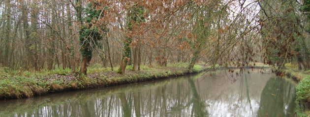 Fédération de pêche de l'Essonne : Morigny Fédération de pêche de l'Essonne : Morigny