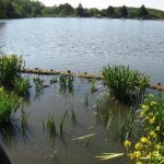 Etang de Pont-ès-Bigot - 22600 Loudéac