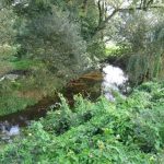 Rivière du Tarun - Baud - 56500 La-Chapelle-Neuve